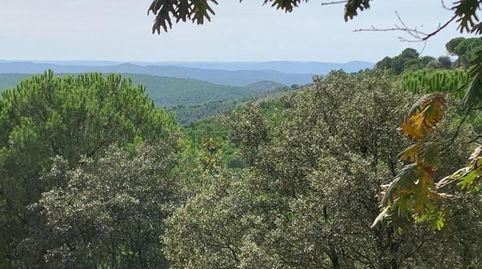 Foto 4 von Haus oder Chalet zum Verkauf in Calera de León, Badajoz