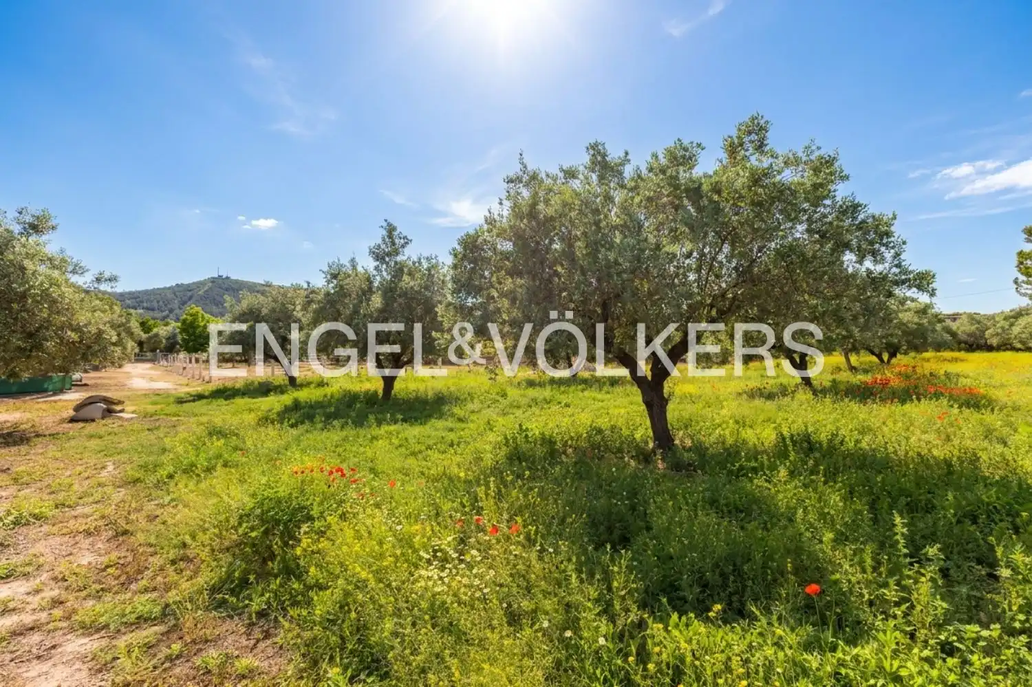 Casa o chalet en venta en Enguera con Aire acondicionado, Calefacción y Jardín privado