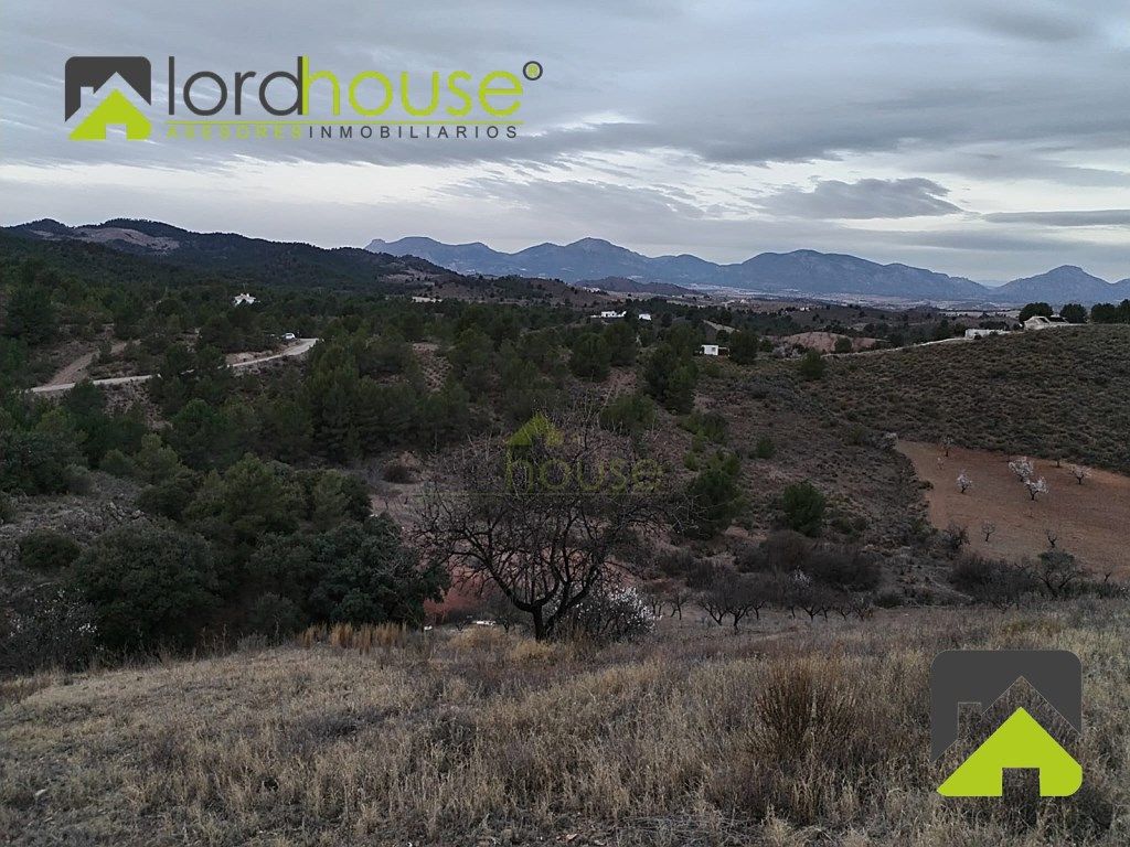House or chalet for sale in Lorca