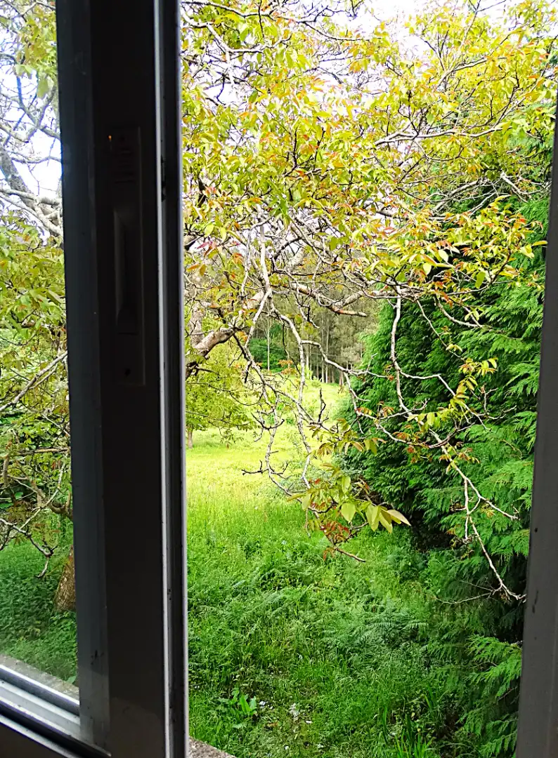 Jardí de Finca rústica en venda en Ourol amb Calefacció, Jardí privat i Parquet