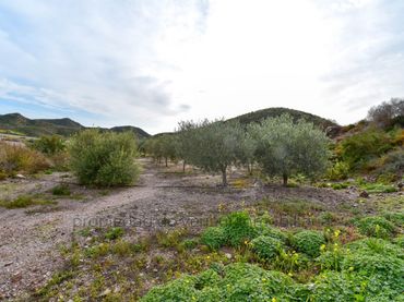 Terreno residencial en venta en Los Collados-Los Geraneos