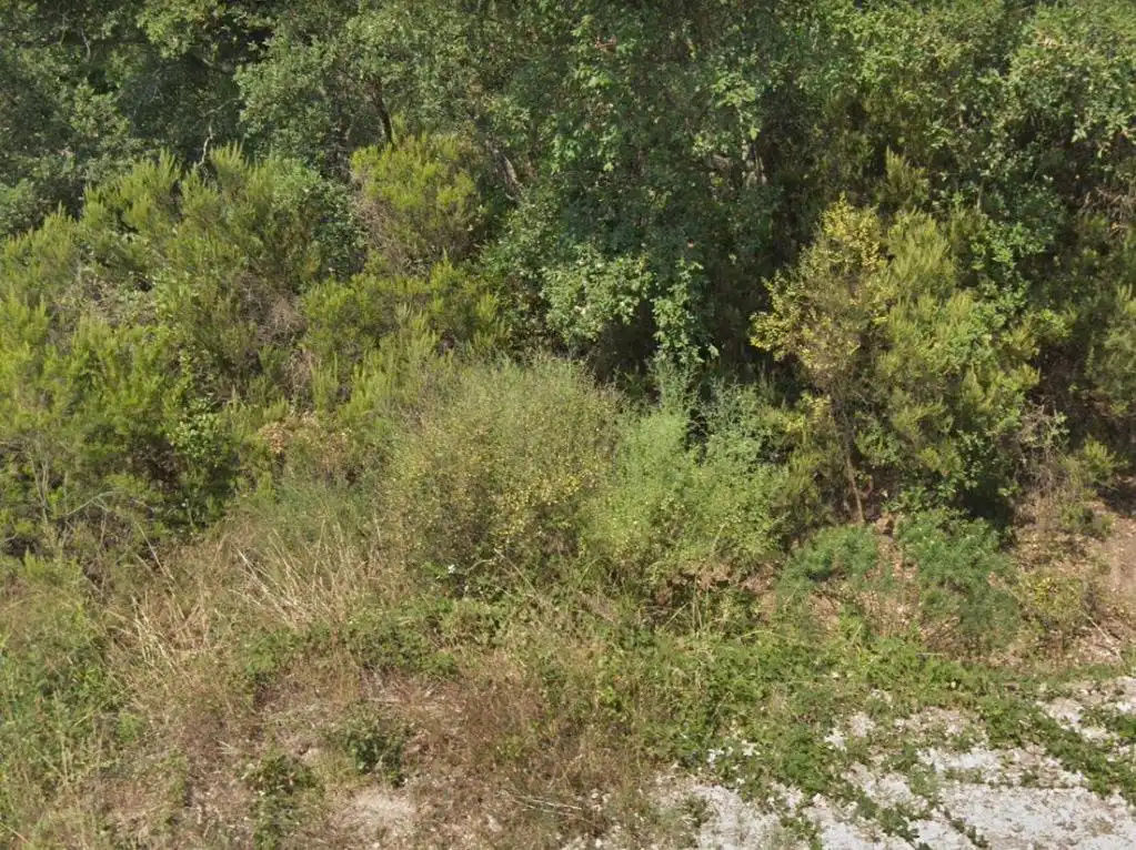 Rural land for sale in SANT MIQUEL DARO (DE), imagen 3