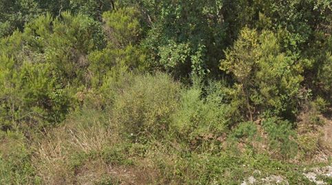 Foto 3 de Terreno en venta en Sant Miquel Daro (de), Urbanitzacions del Nord, Santa Cristina d'Aro