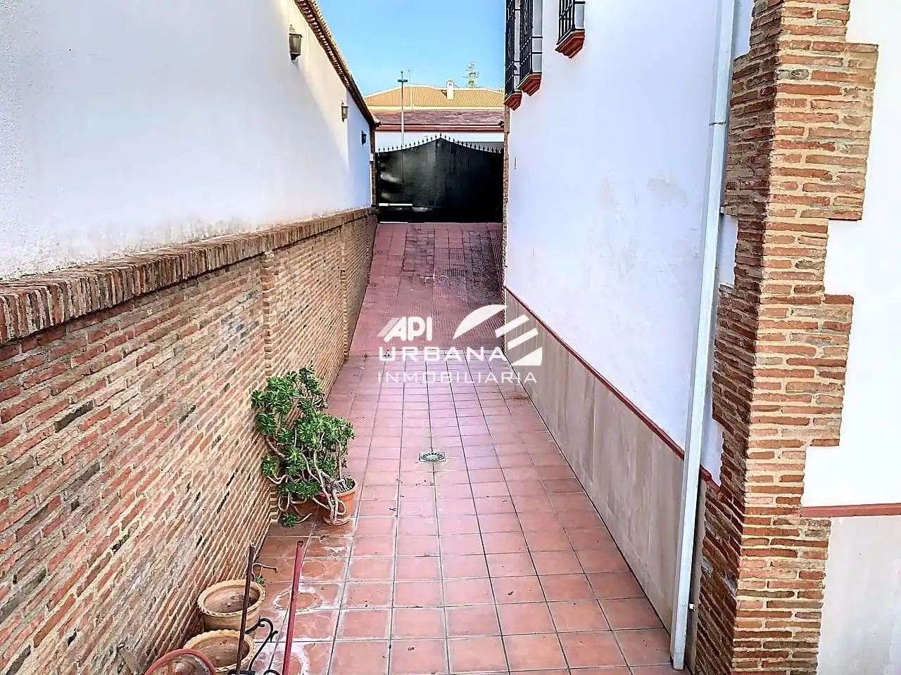 Vista exterior de Casa o chalet en venta en Lucena con Aire acondicionado, Jardín privado y Terraza