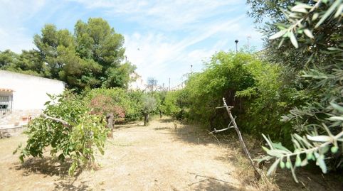 Solar Urbano de 940 m2. en la Murada Orihuela, con casa de 95 m2. construidos para reformar