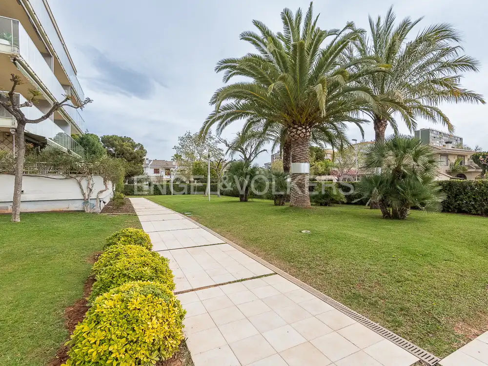 Flat for rent in Torreón - La Almadraba