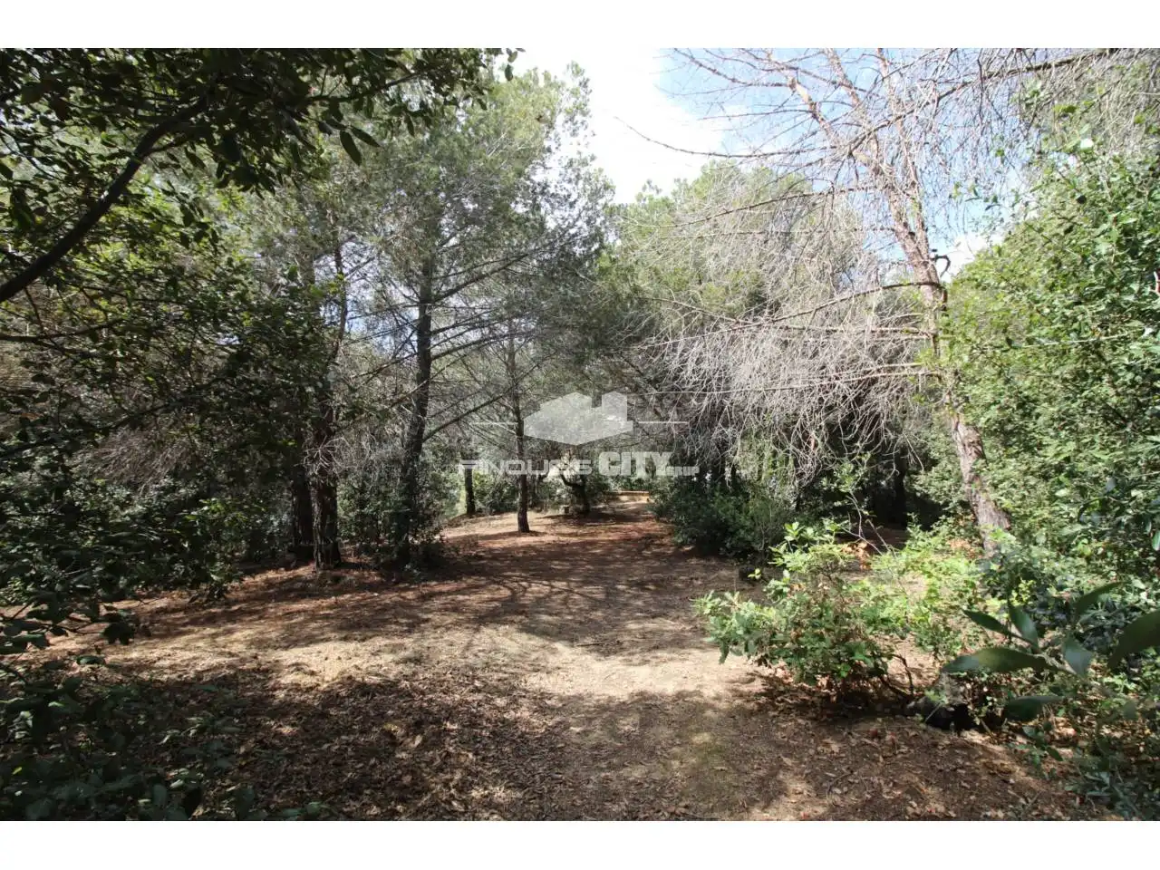 Residential land for sale in Avenida Àlbers, imagen 27