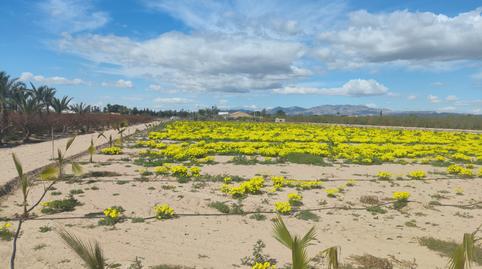 Photo 2 of Residential for sale in Los Arenales del Sol, Alicante