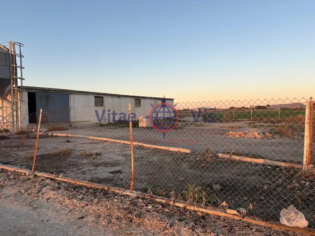 Industrial building for sale in Diseminados Campillo (Campillo), imagen 4