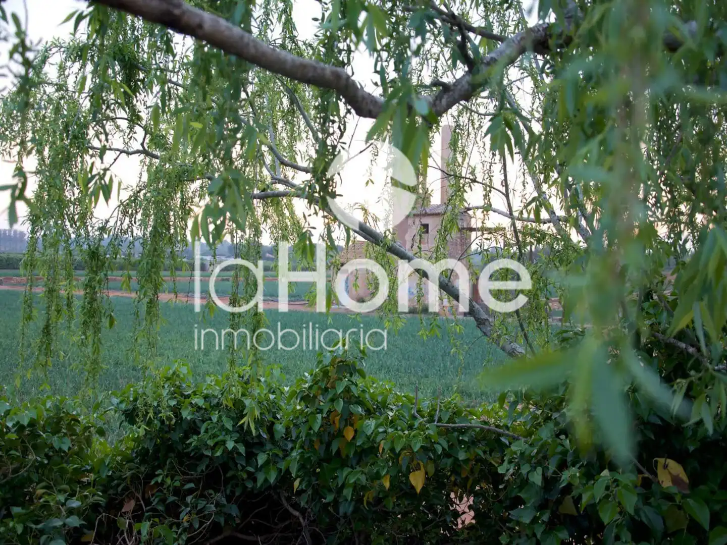 Houses for sale in Centro