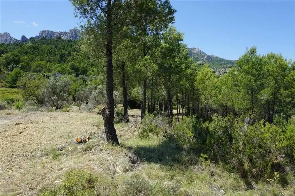 Land for sale in El Castell de Guadalest