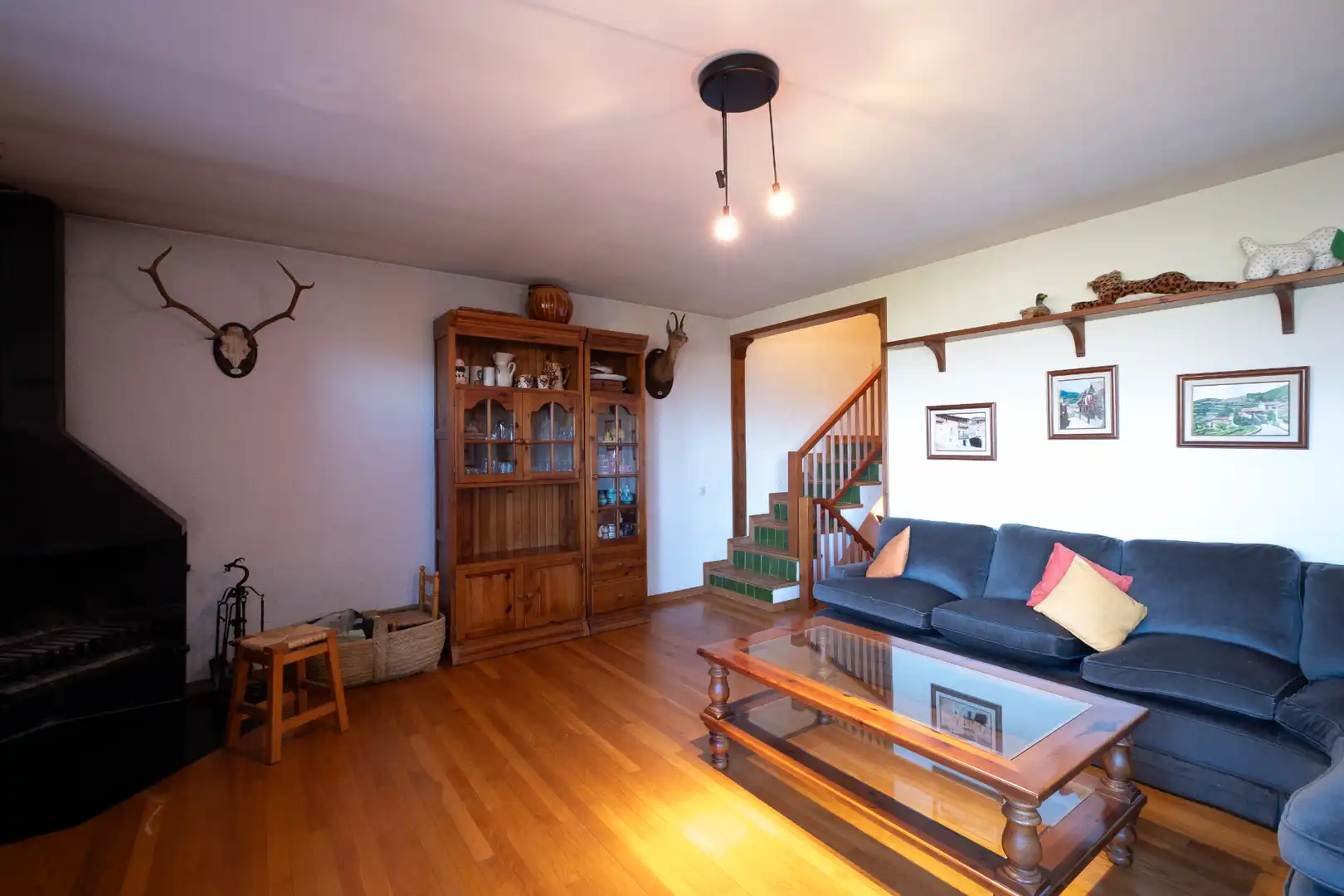 Sala d'estar de Casa adosada en venda en Alp amb Calefacció, Jardí privat i Parquet