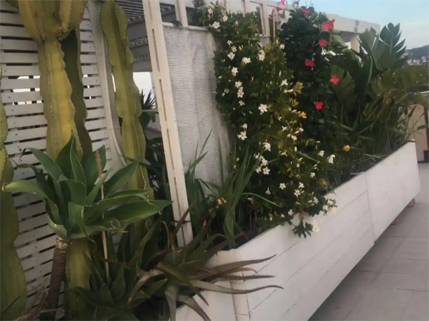 Jardí de Àtic en venda en Jávea / Xàbia amb Aire condicionat, Piscina i Balcó