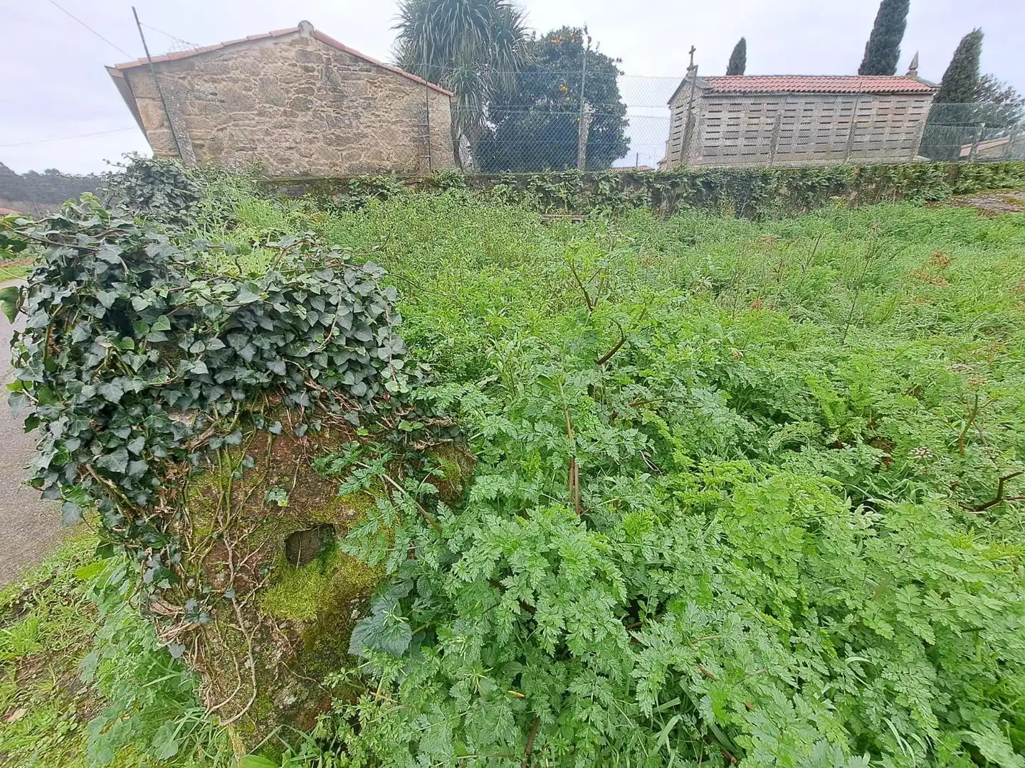 Terrenys i solars en venda a Rianxo, imagen 8