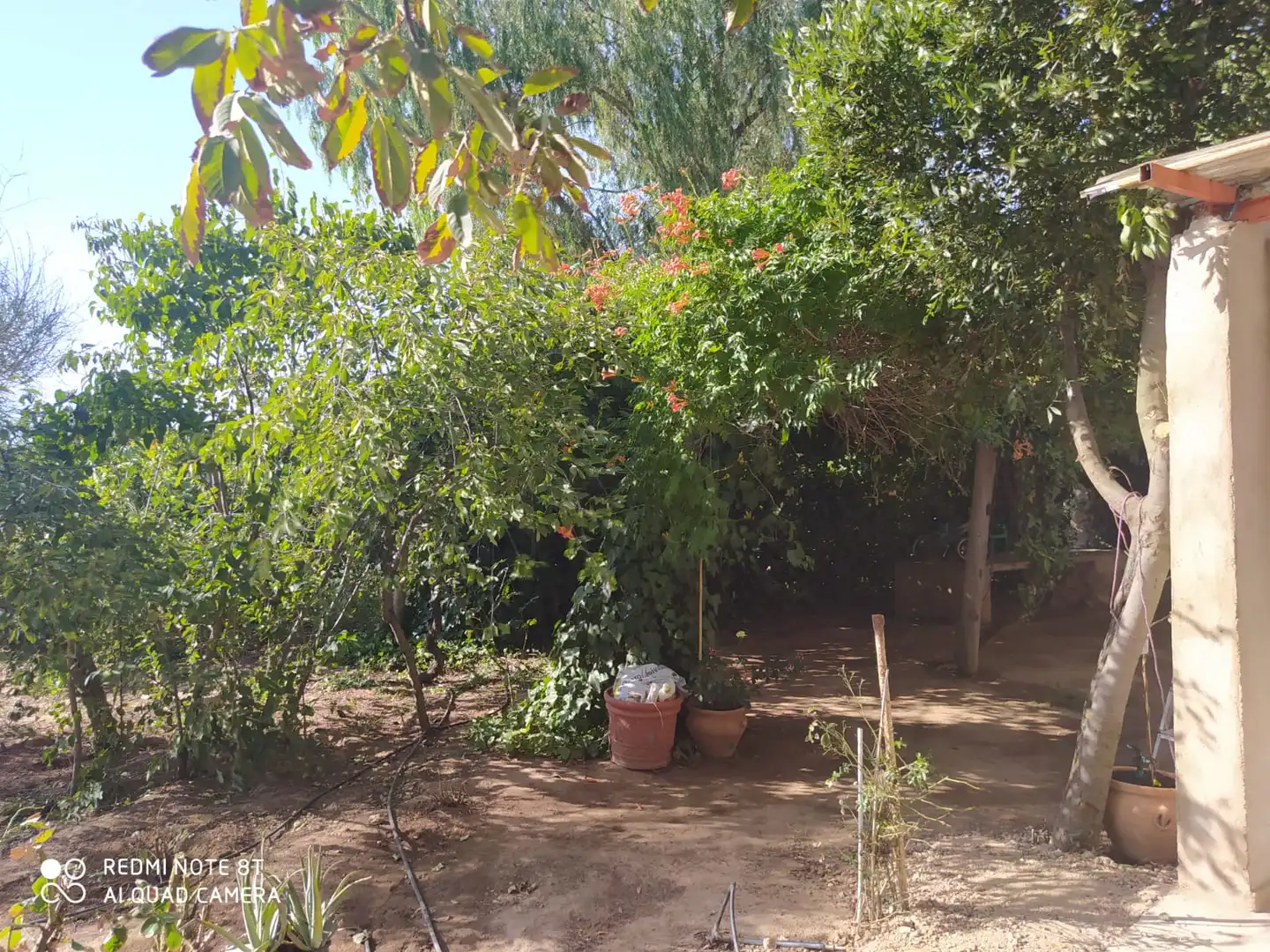 Chalet con jardín en venta en Malagón, imagen 26