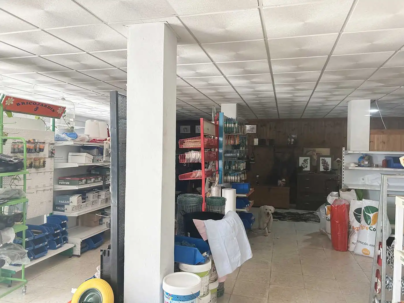 Gewerbefläche zum Verkauf in Tarifa ciudad, imagen 7
