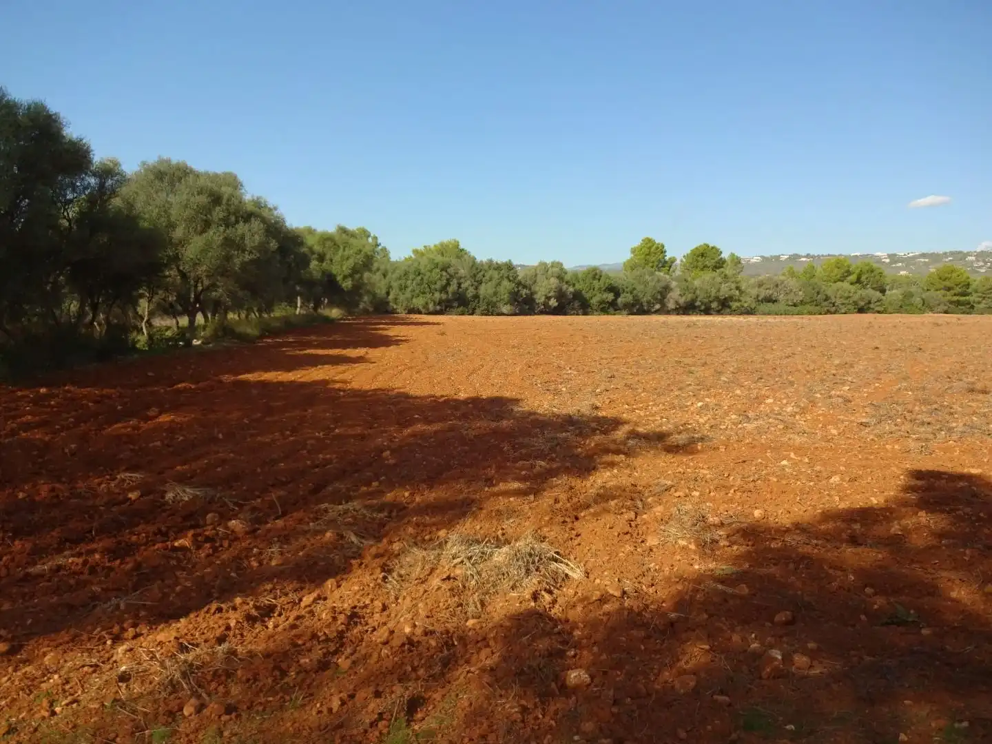 Finca rústica en venta en  Palma de Mallorca