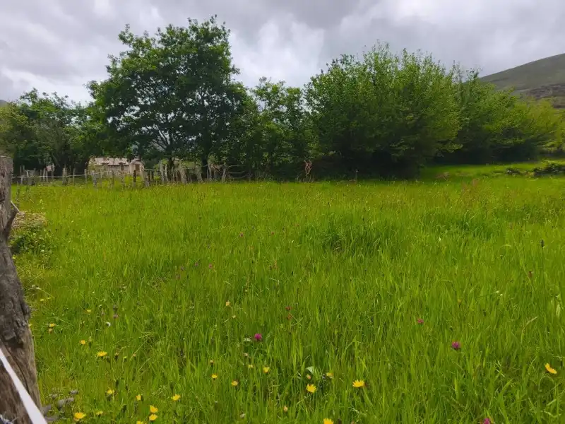 Rural land for sale in Rionansa, imagen 5