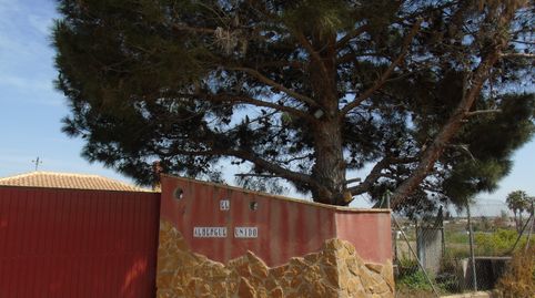Foto 2 de Finca rústica en venta en N/a, -1, Ceutí, Murcia