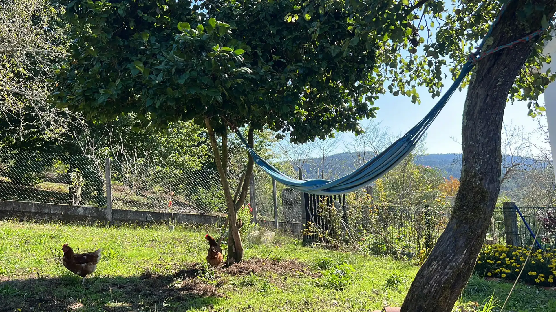Jardín de Piso de alquiler en A Estrada  con Amueblado