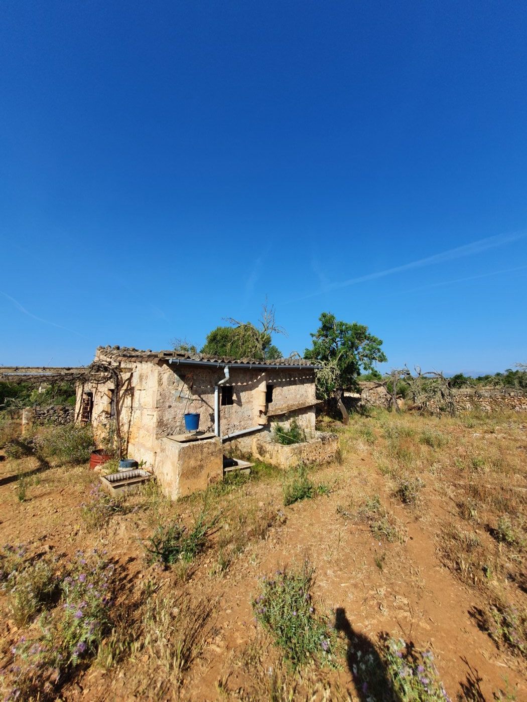 Country house for sale in Santa Margalida