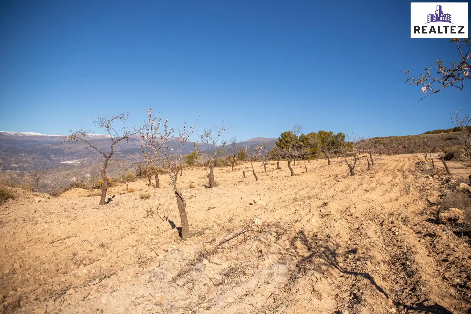 Rural land for sale in Laujar de Andarax, imagen 4