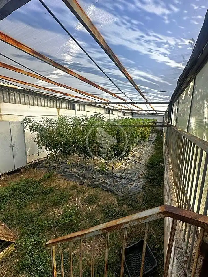 Jardí de Casa o xalet en venda en Linares amb Aire condicionat, Calefacció i Jardí privat