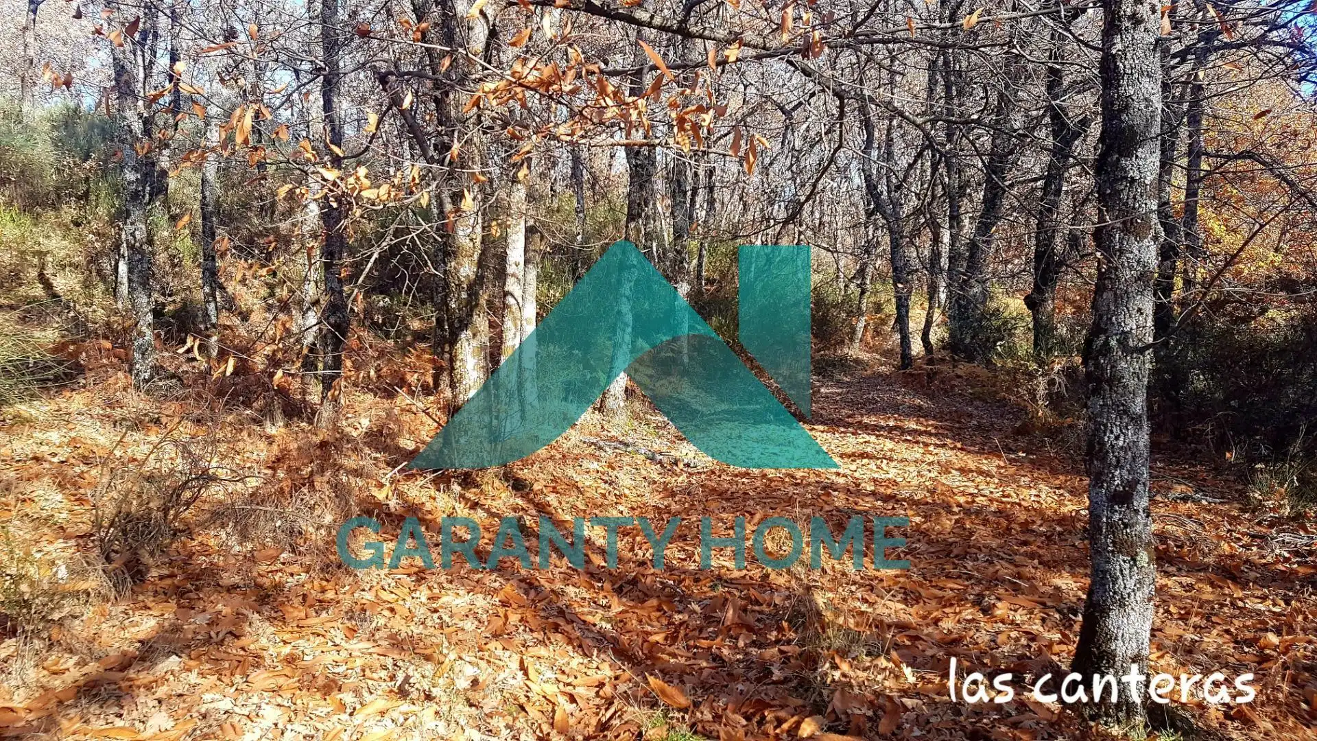 Finca rústica en venta en Aldeanueva de la Vera