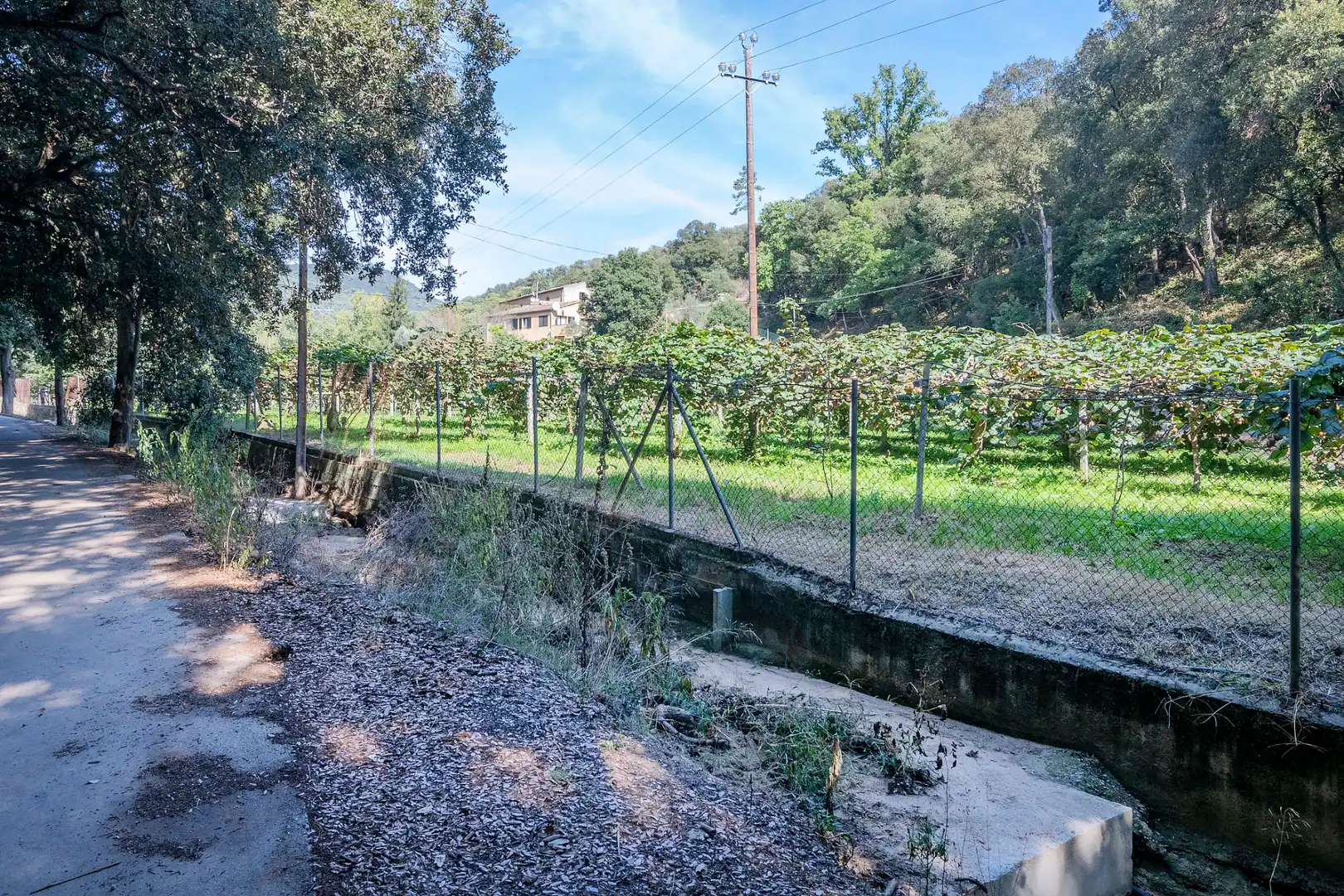 Casa rústica con piscina en venta en Camí Can Cabot de Munt, imagen 89