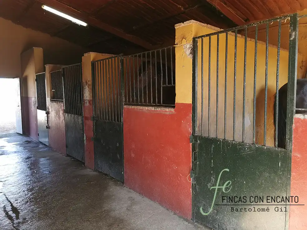 Casa rústica amb piscina en venda a Arcos de la Frontera, imagen 23