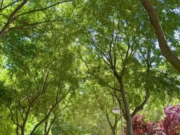 Vista exterior de Pis en venda en Madrid amb Terrassa i Traster