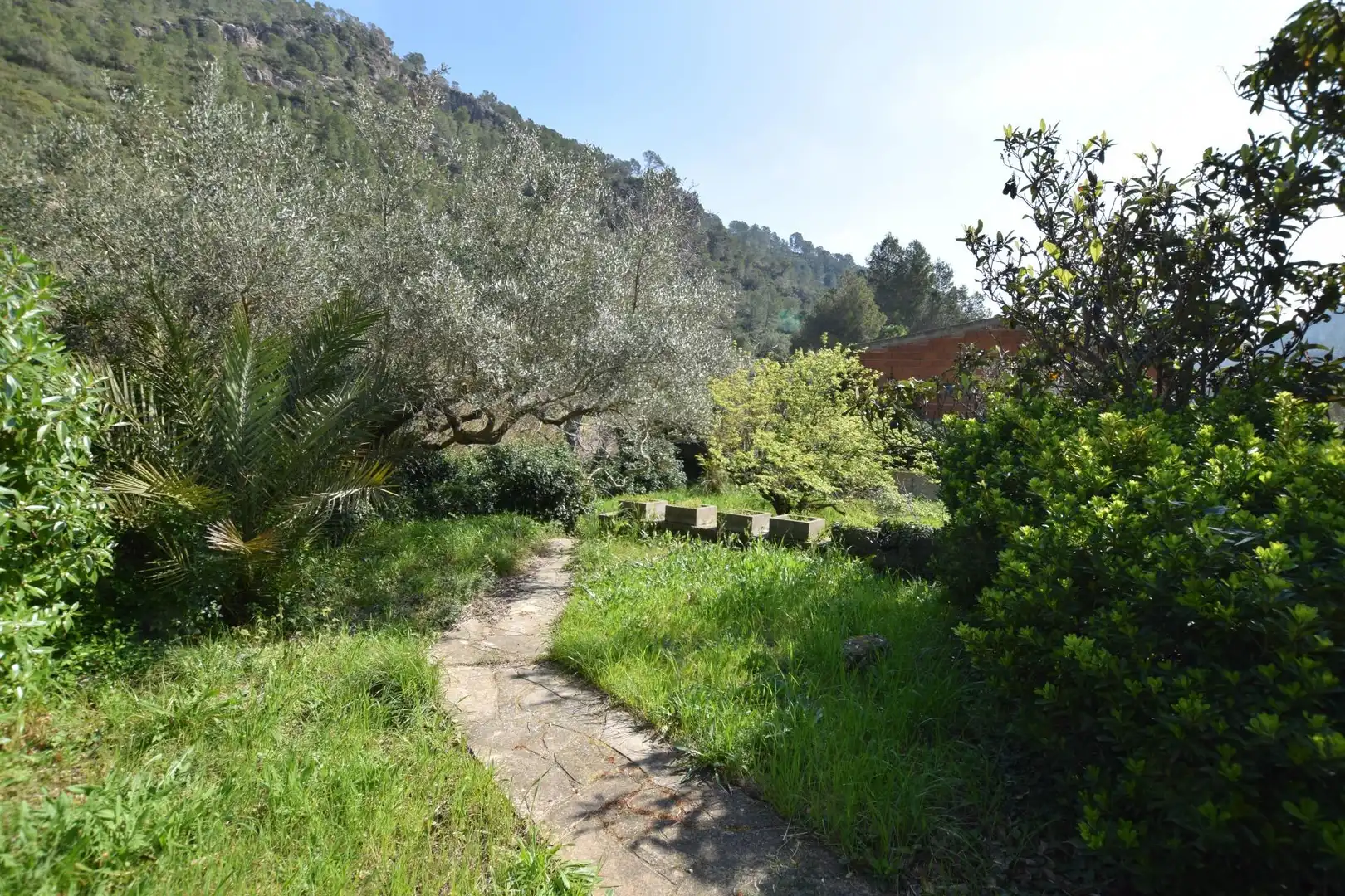 Jardí de Casa o xalet en venda en Alfara de Carles amb Terrassa, Traster i Piscina