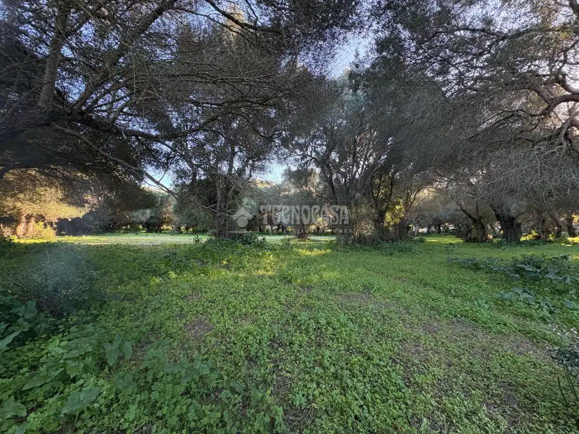 Terreno en venta en Barbate