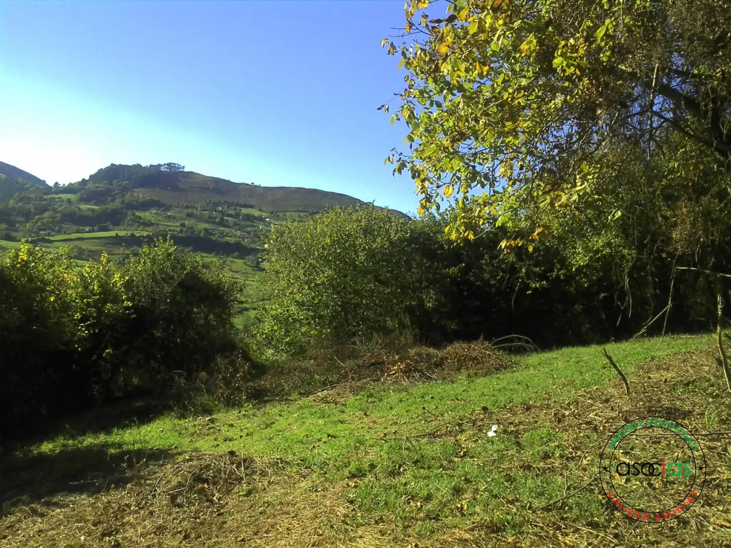 Terreno rustico in vendita a Gijón - BARRIO SAN PELAYO - CALDONES, imagen 6