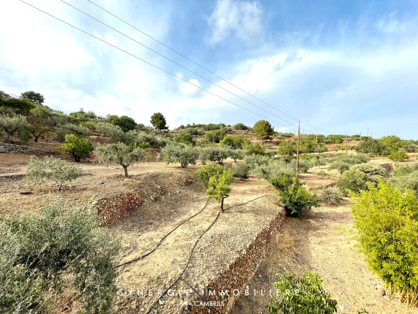 Haus mit Garten zum Verkauf in Vial Camino, imagen 73