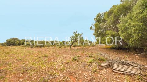 Foto 2 de Terreno en venta en Cales de Mallorca, Manacor