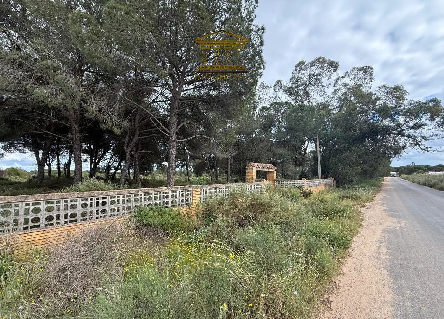 Terreno en venta en Almonte