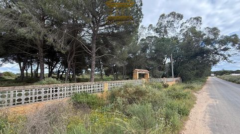 Foto 4 de Terreno en venta en N/a, -1, Almonte ciudad, Almonte