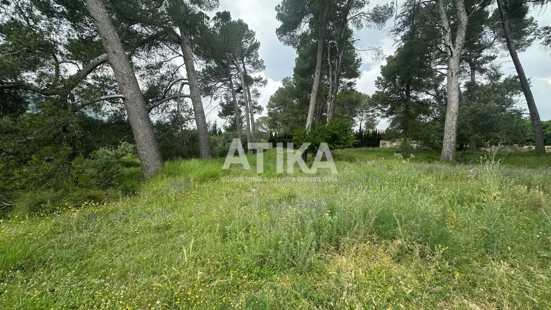 Residential land for sale in Centro, imagen 6