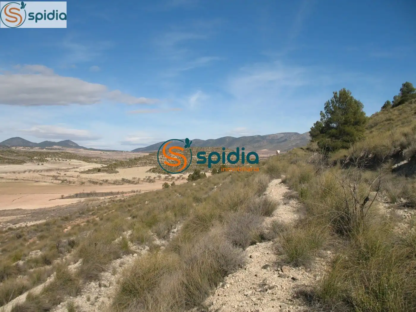 Residential land for sale in Pedanías Norte, imagen 2
