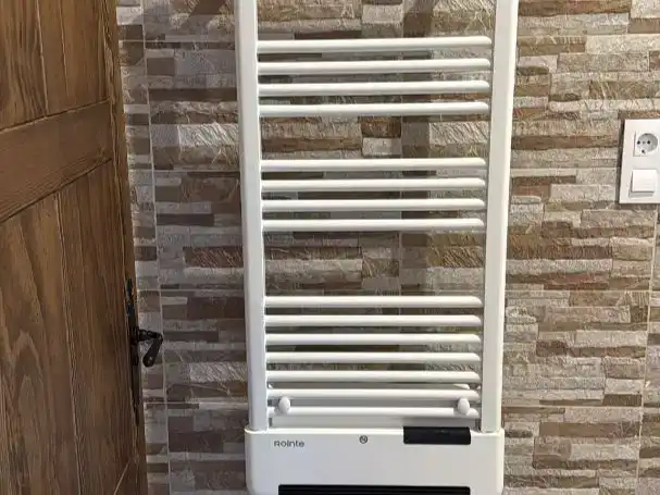Baño de Casa adosada en venta en Corral de Ayllón con Jardín privado