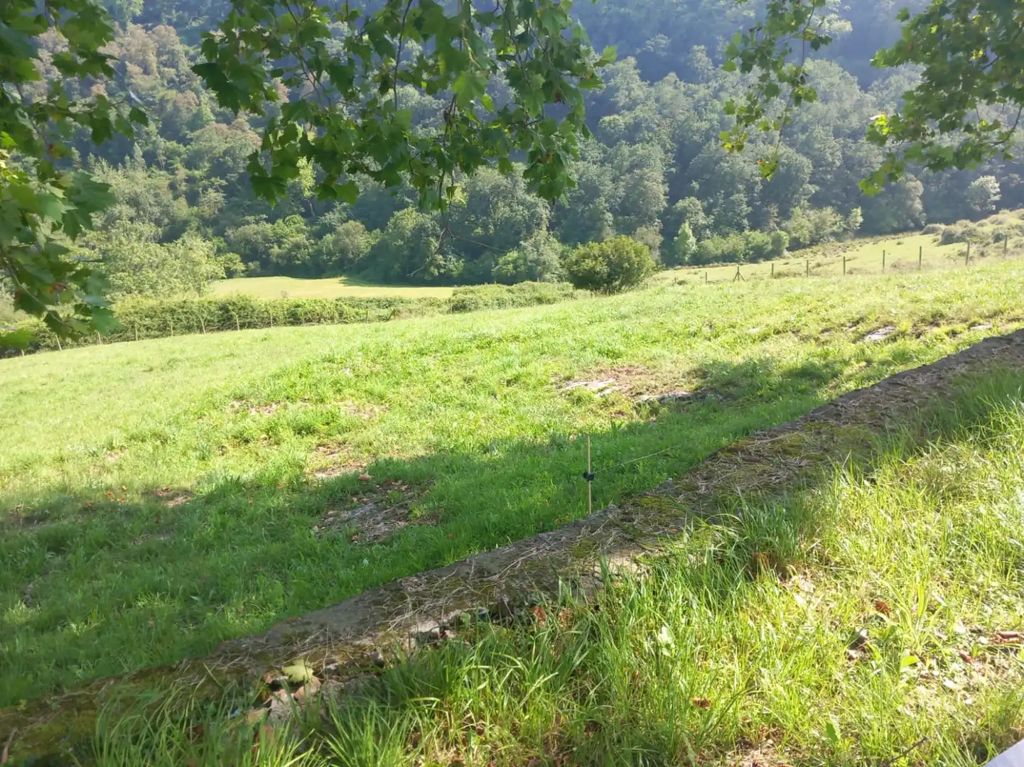 Terreni e lotti in vendita a Labarces - La Cardosa 21, imagen 2