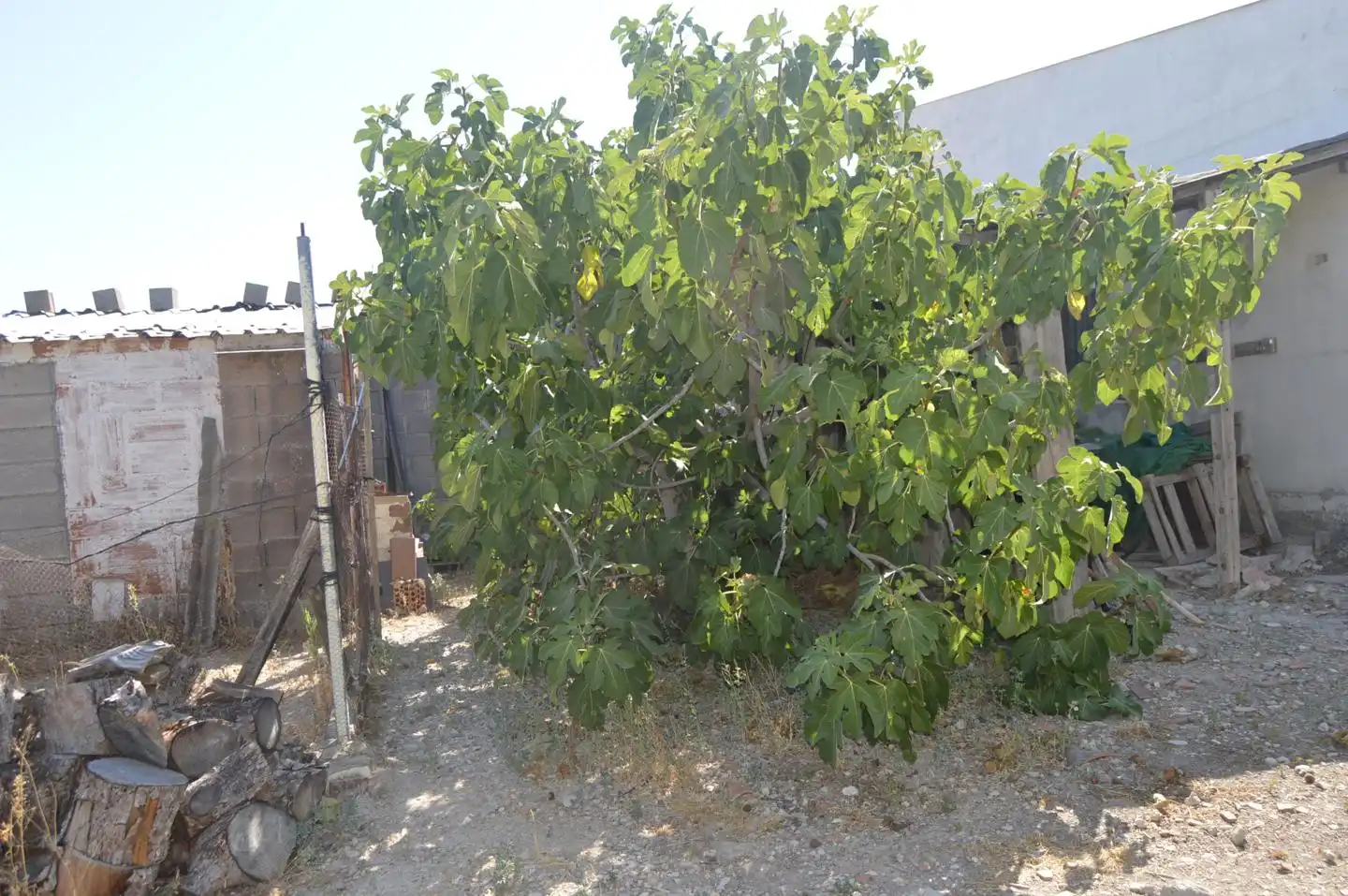 Finca rústica en venda en Tarancón amb Jardí privat