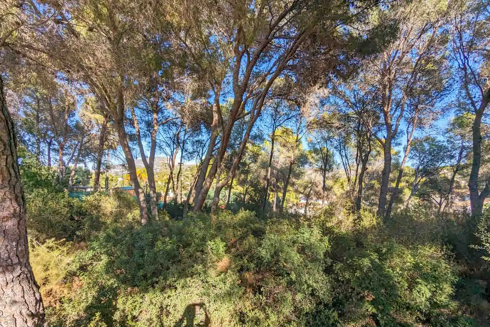 Detached house with pool for sale in Pinar del Advocat - Cometa, imagen 10