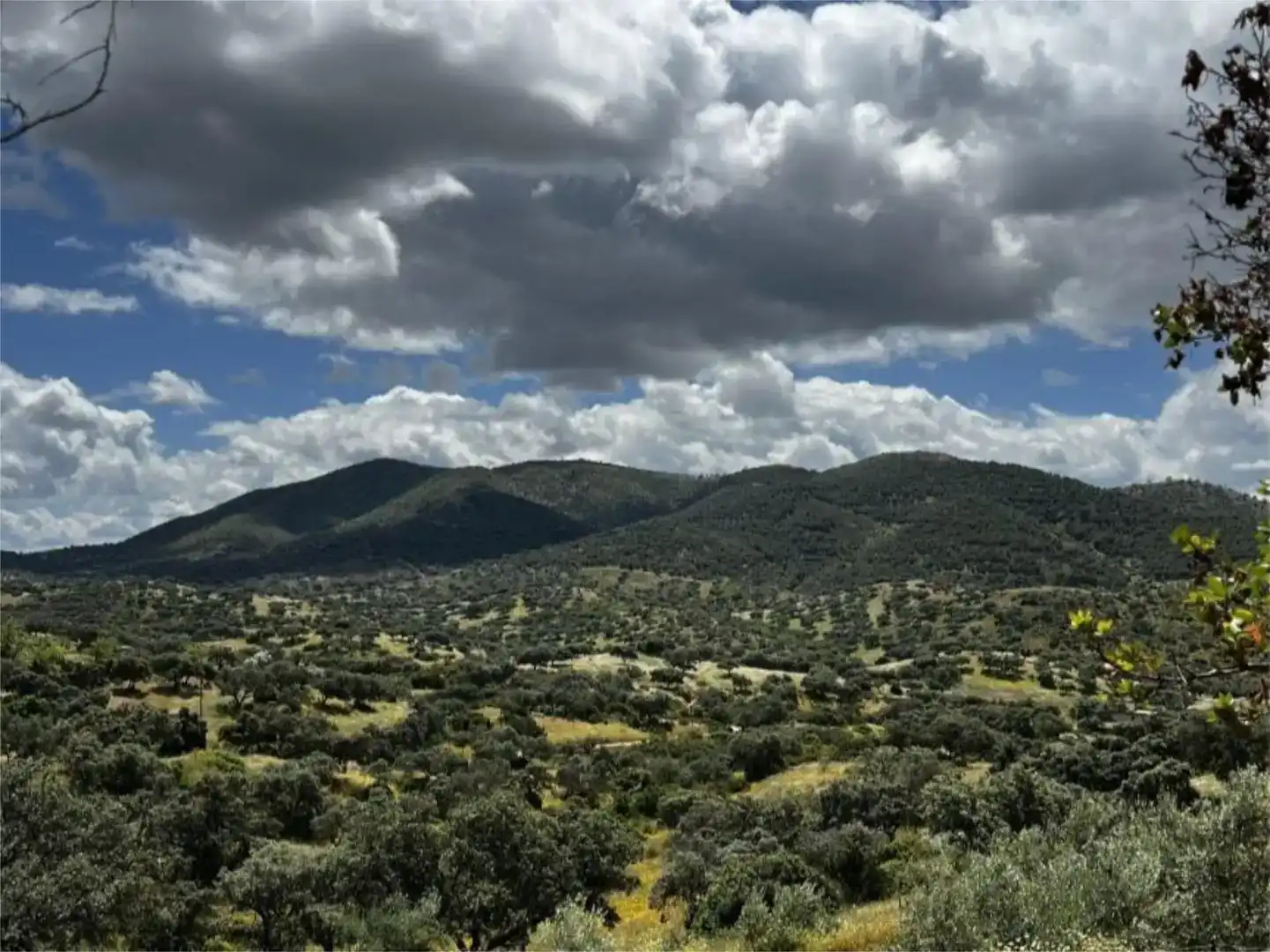 Land for sale in Hornachuelos