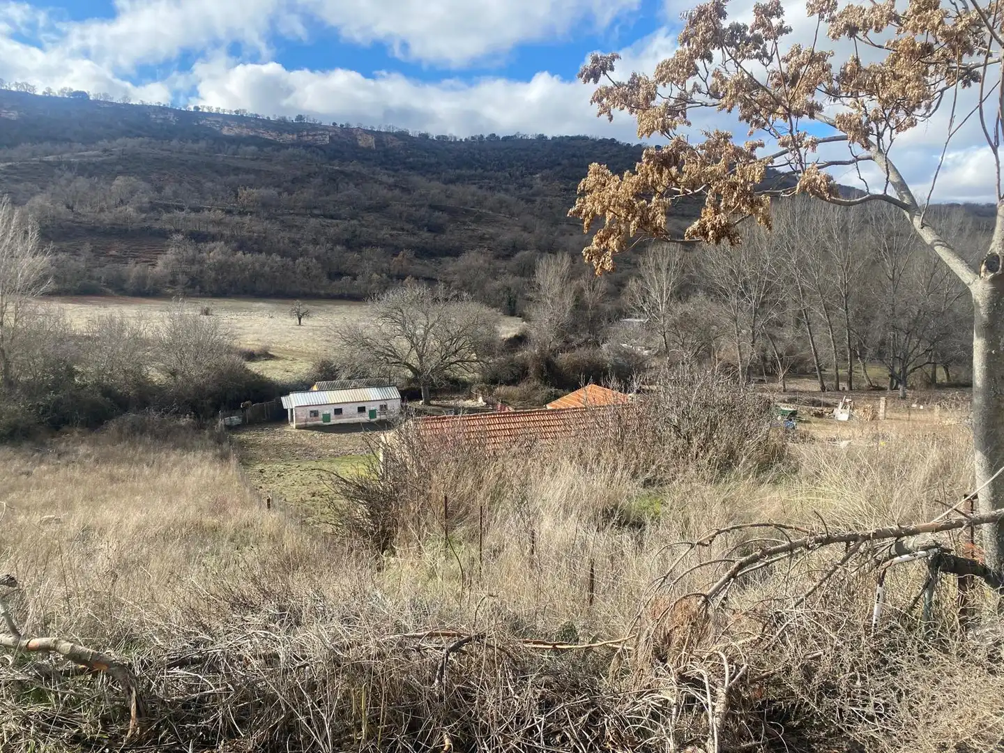 Residencial en venta en Brihuega