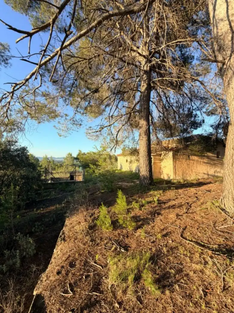 Terreny residencial en venda a El Juncal - Vallealto, imagen 12