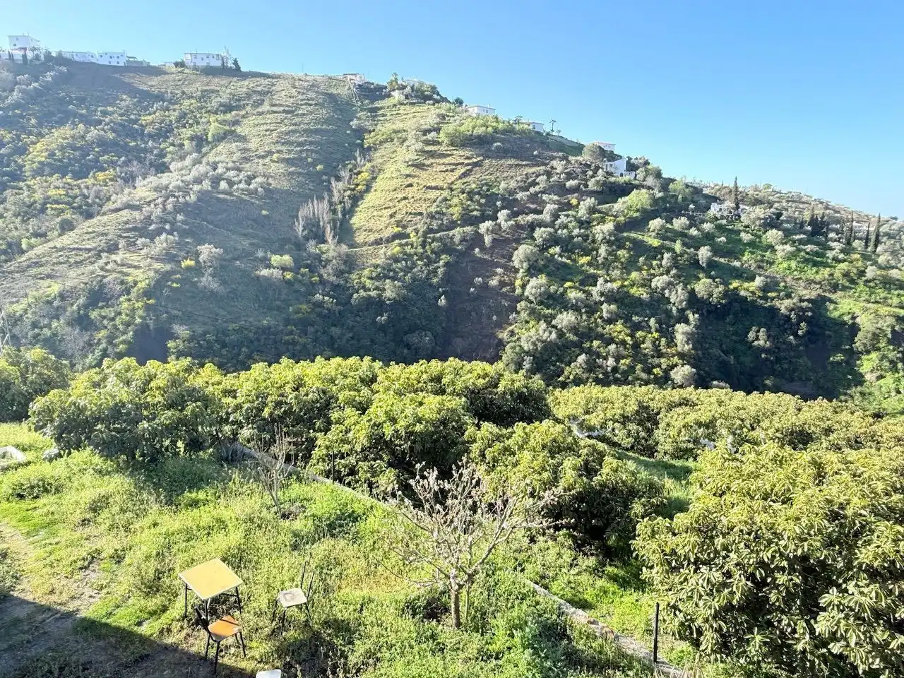 Exterior view of Land for sale in Canillas de Albaida