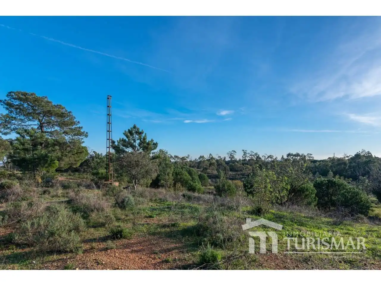 Villa in vendita a Carretera Campo 1, imagen 37