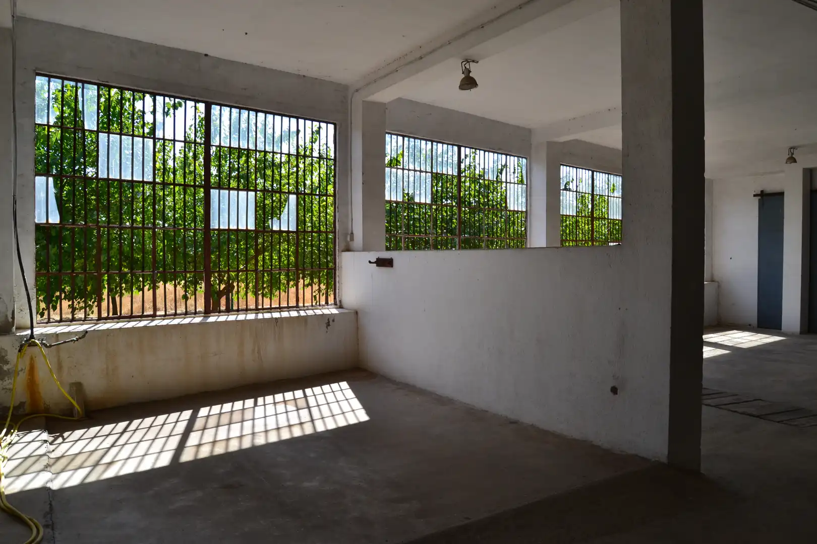 Industrial building to rent in Avenida de España 21, imagen 4